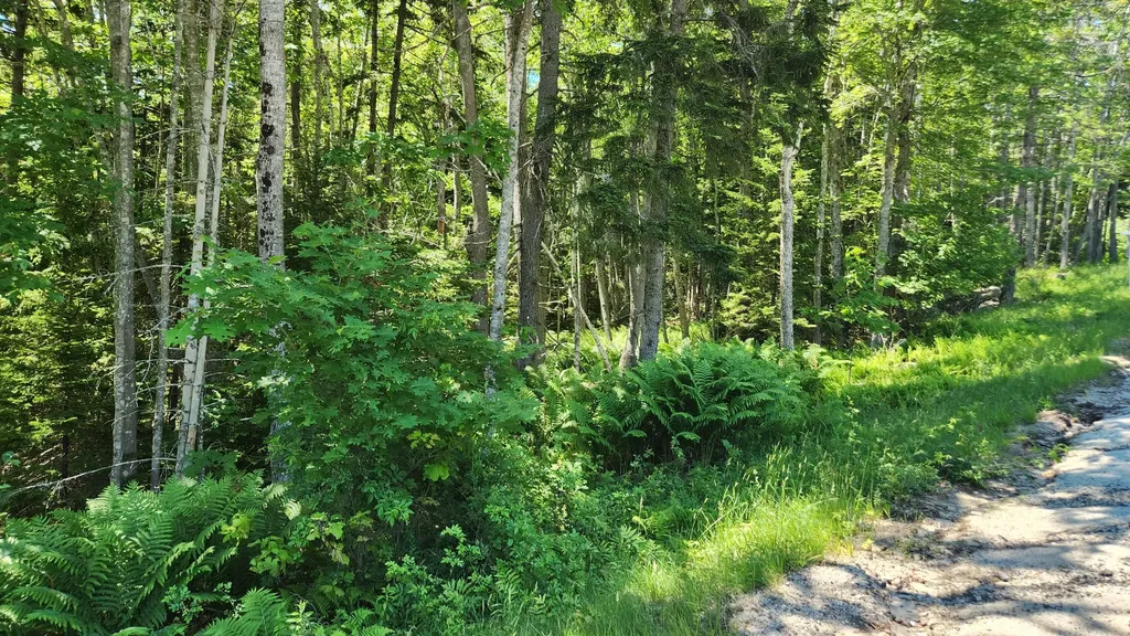 0 Sebasco Road Phippsburg ME 04562