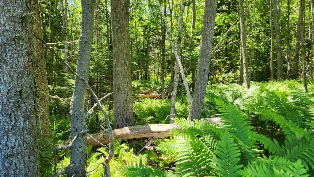 0 Sebasco Road Phippsburg ME 04562