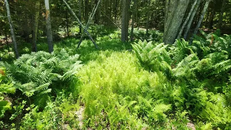 0 Sebasco Road Phippsburg ME 04562