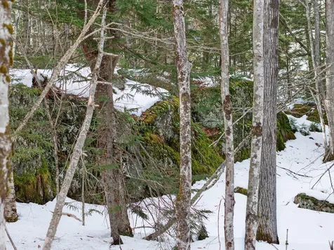 0 Sebasco Road Phippsburg ME 04562