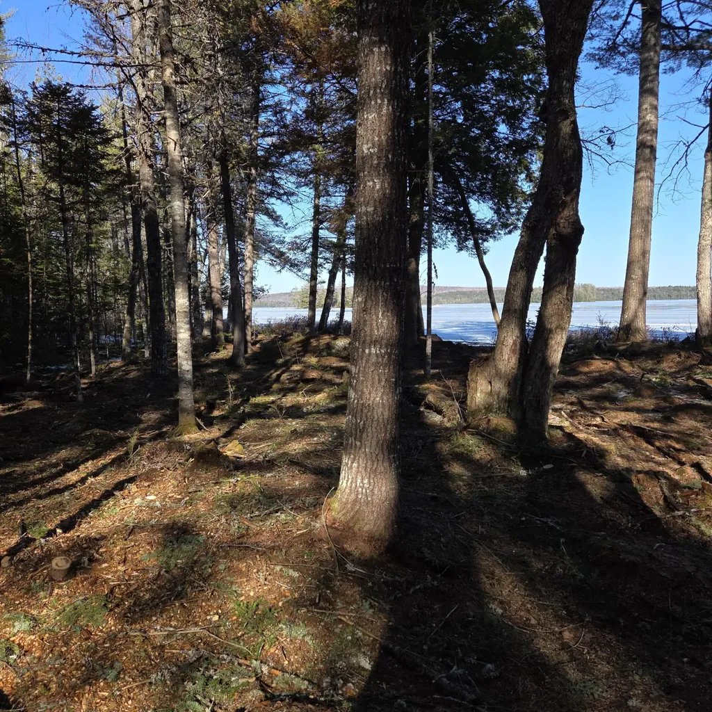 735 Mountain Road Seboeis Plt ME 04448