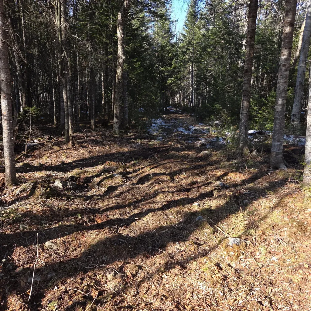 735 Mountain Road Seboeis Plt ME 04448