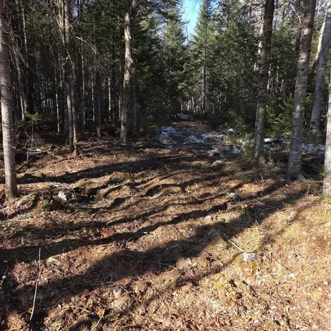 735 Mountain Road Seboeis Plt ME 04448