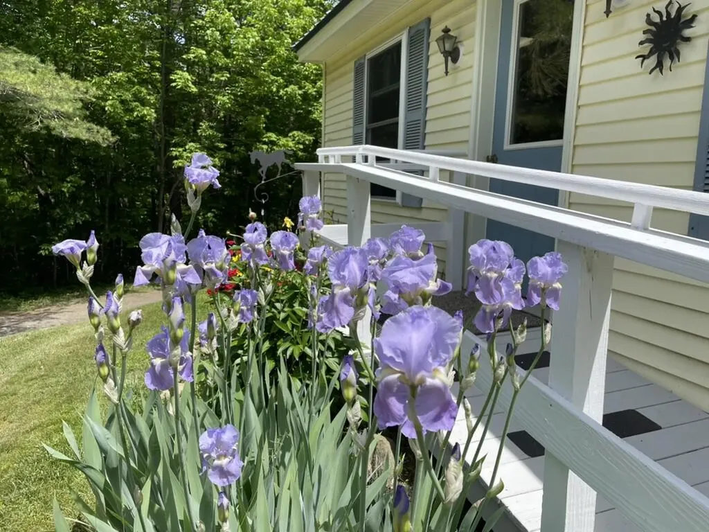 50 State Route 129 South Bristol ME 04573