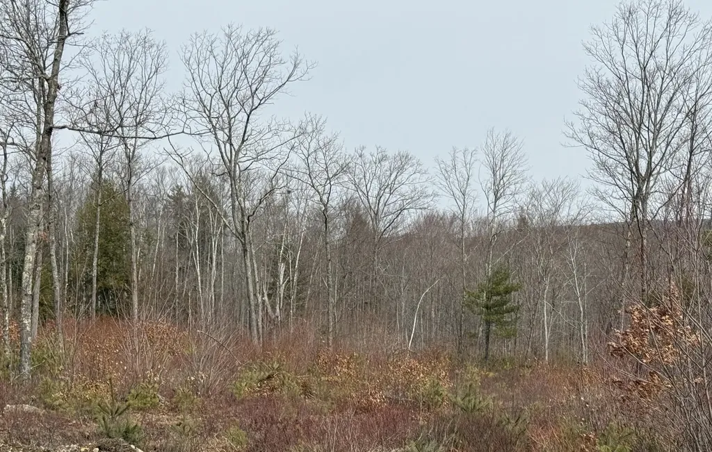 Lot A8 West Road Waterboro ME 04087