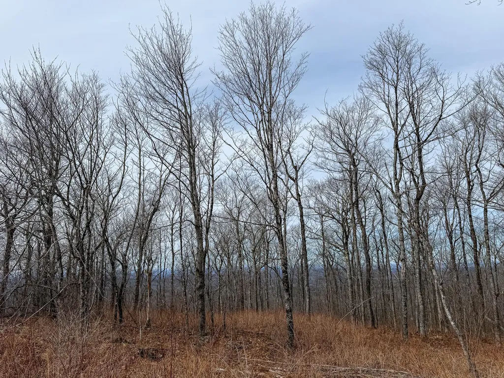 M1L22 Moosehead Trail Dixmont ME 04932