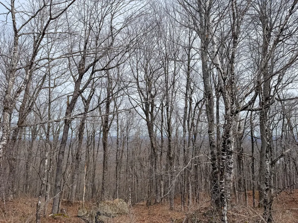 M1L22 Moosehead Trail Dixmont ME 04932