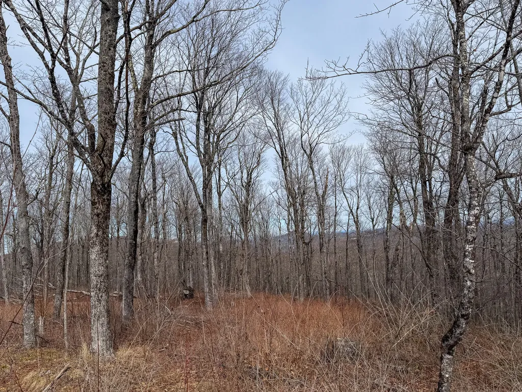 M1L22 Moosehead Trail Dixmont ME 04932
