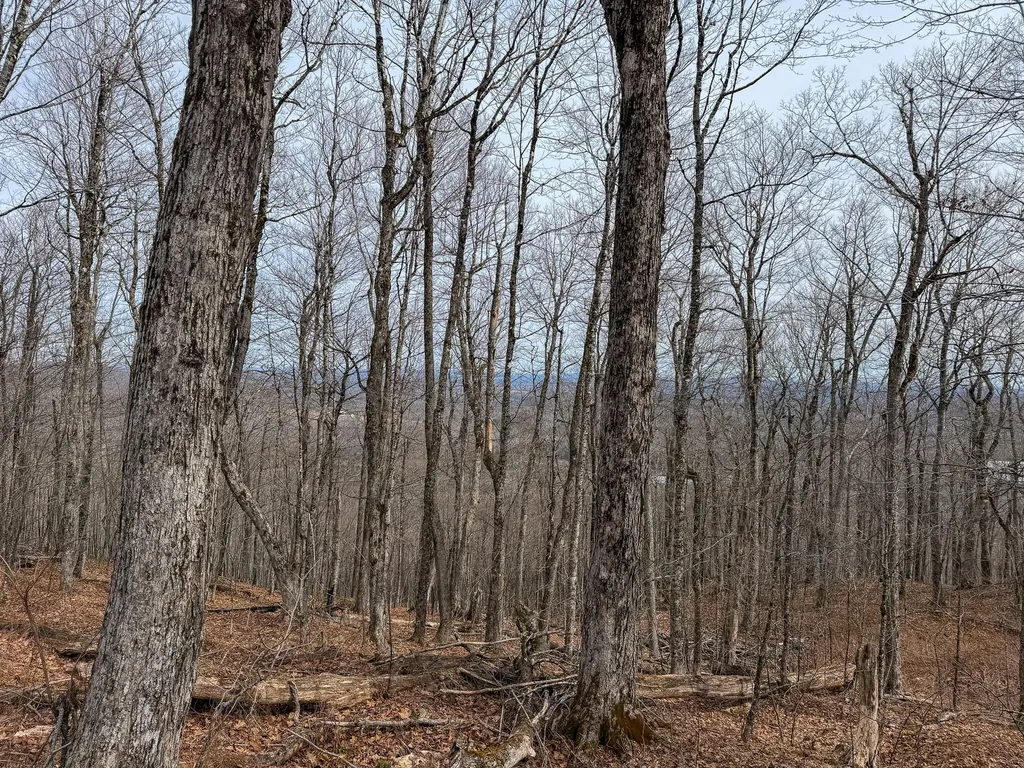 M1L22 Moosehead Trail Dixmont ME 04932