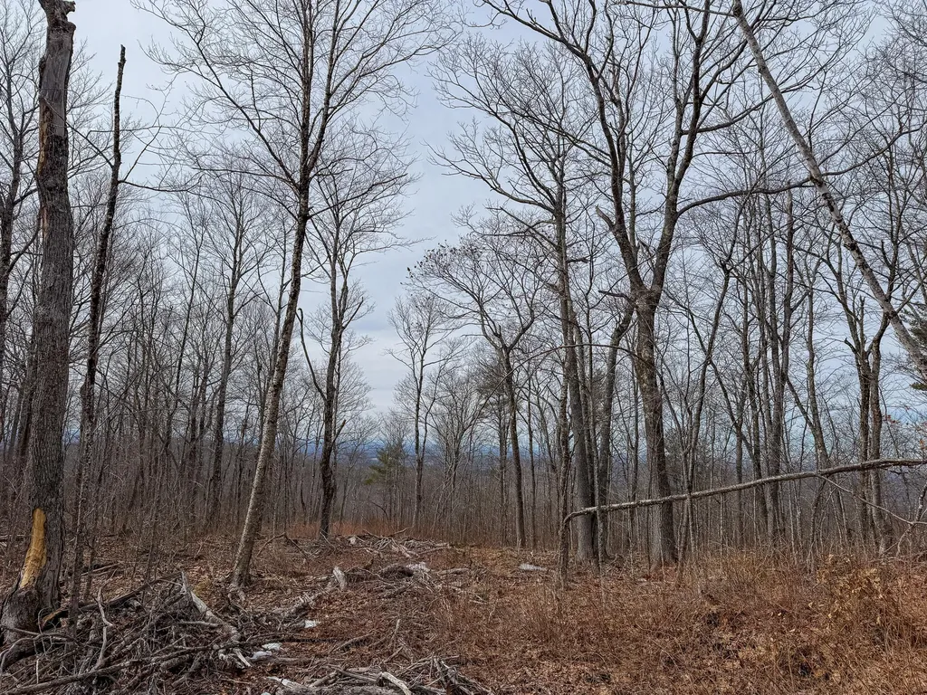 M1L22 Moosehead Trail Dixmont ME 04932