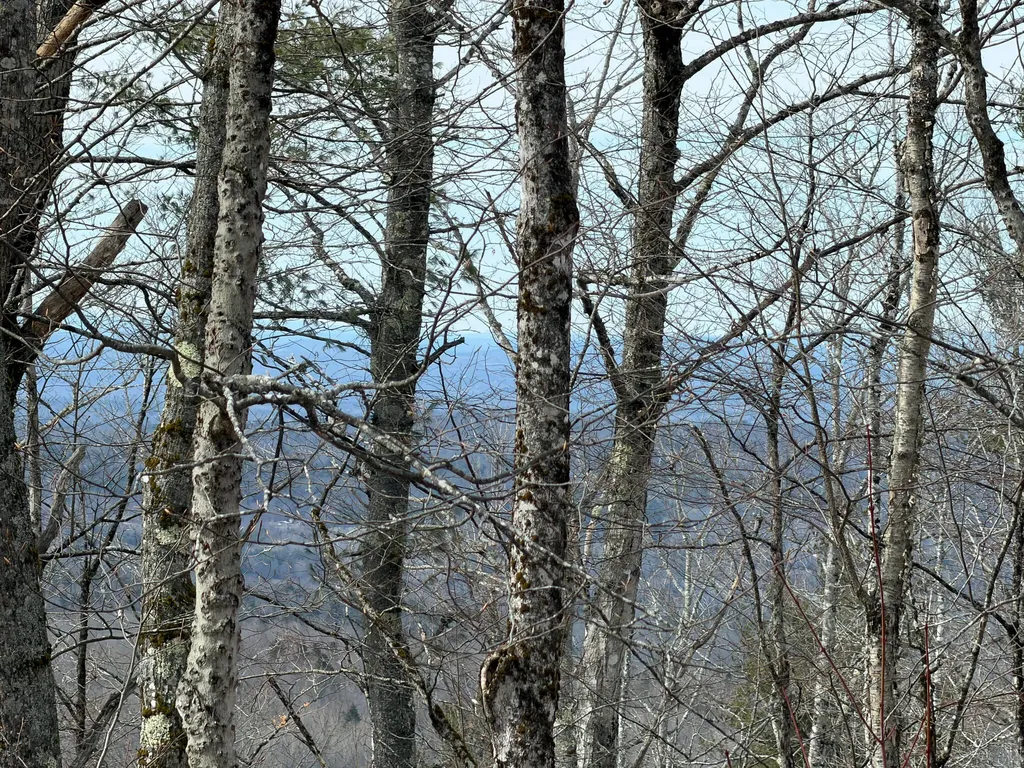 M1L22 Moosehead Trail Dixmont ME 04932
