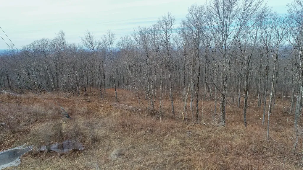 M1L22 Moosehead Trail Dixmont ME 04932