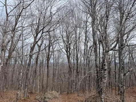 M1L22 Moosehead Trail Dixmont ME 04932