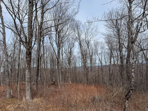 M1L22 Moosehead Trail Dixmont ME 04932