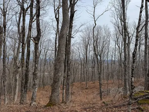 M1L22 Moosehead Trail Dixmont ME 04932