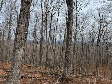 M1L22 Moosehead Trail Dixmont ME 04932