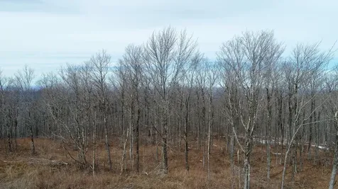 M1L22 Moosehead Trail Dixmont ME 04932