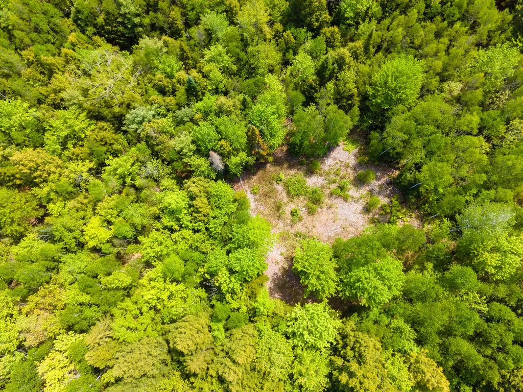 Lot 116 Bass Overlook Waltham ME 04605