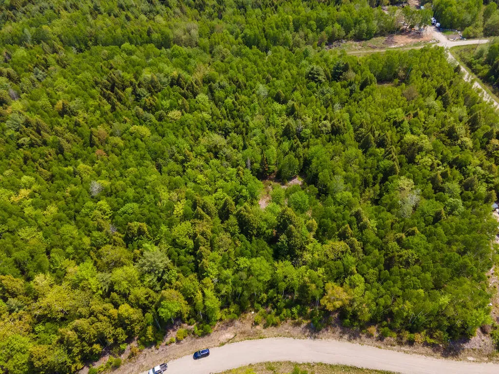 Lot 116 Bass Overlook Waltham ME 04605