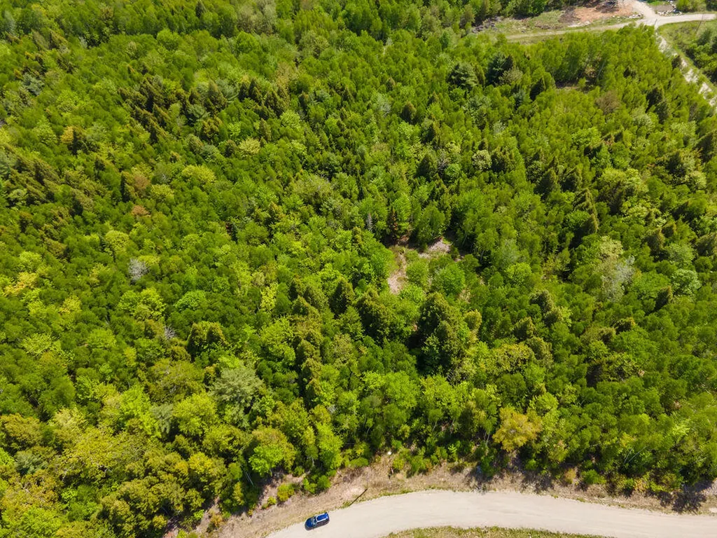 Lot 116 Bass Overlook Waltham ME 04605