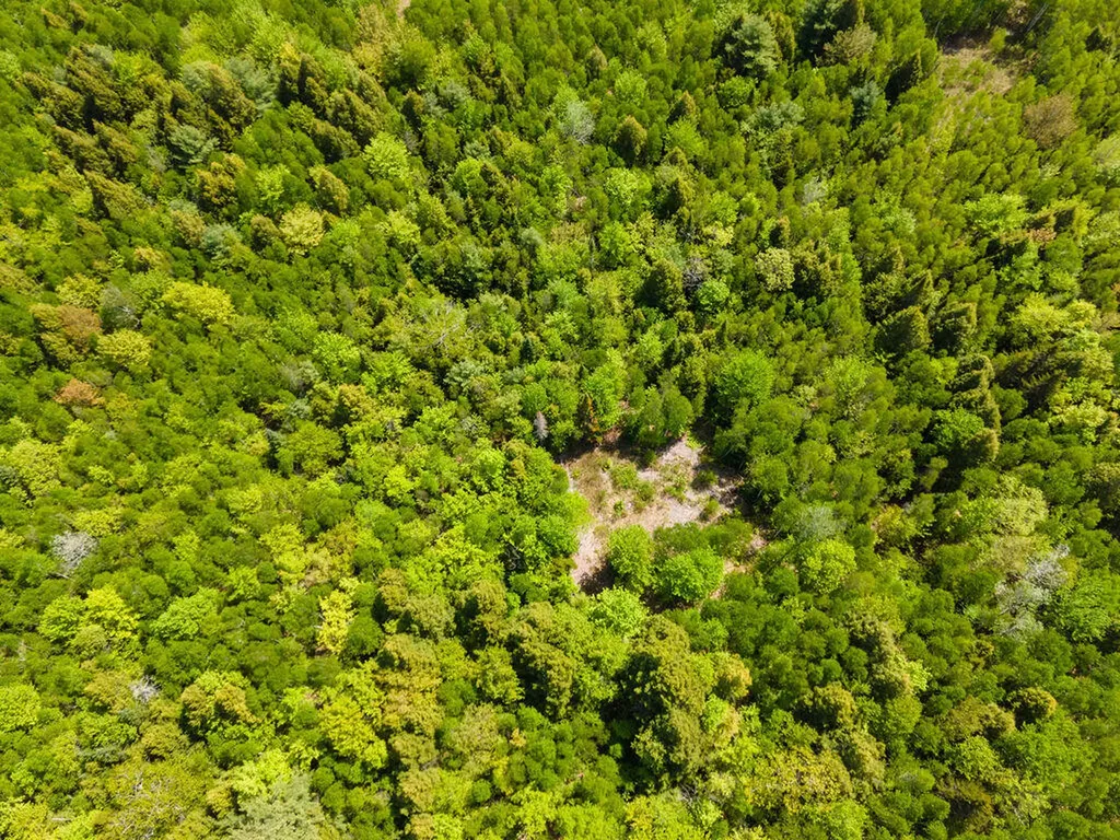 Lot 116 Bass Overlook Waltham ME 04605
