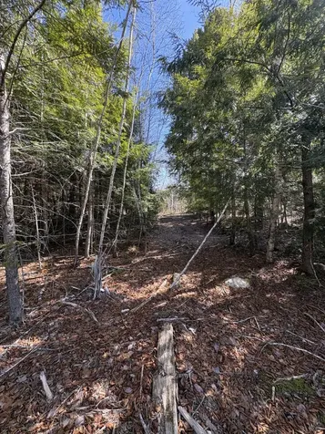 Lot 116 Bass Overlook Waltham ME 04605