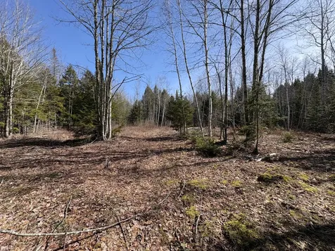 Lot 116 Bass Overlook Waltham ME 04605