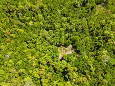 Lot 116 Bass Overlook Waltham ME 04605