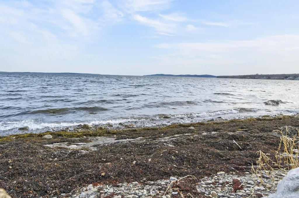 8 Summer Street Searsport ME 04974