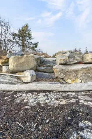 8 Summer Street Searsport ME 04974