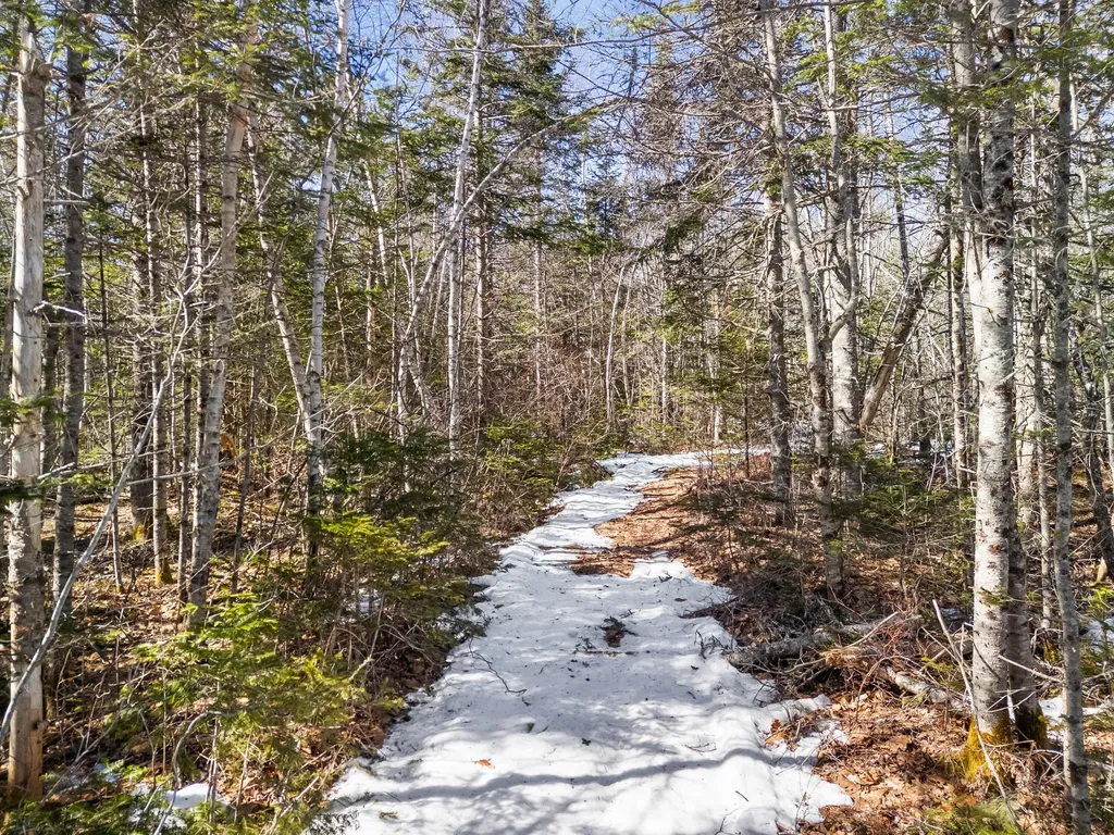 180 Burket Mill Road Waldoboro ME 04572