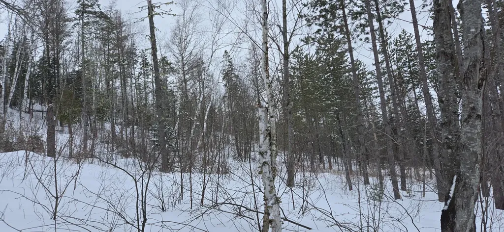 MAP31 Lot12 Madawaska ME 04756