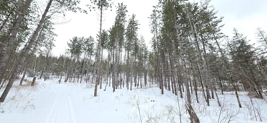 MAP31 Lot12 Madawaska ME 04756