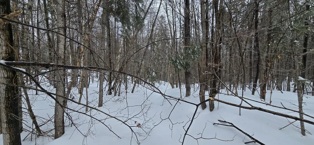 MAP31 Lot12 Madawaska ME 04756