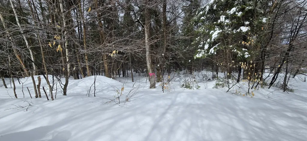 MAP31 Lot12 Madawaska ME 04756