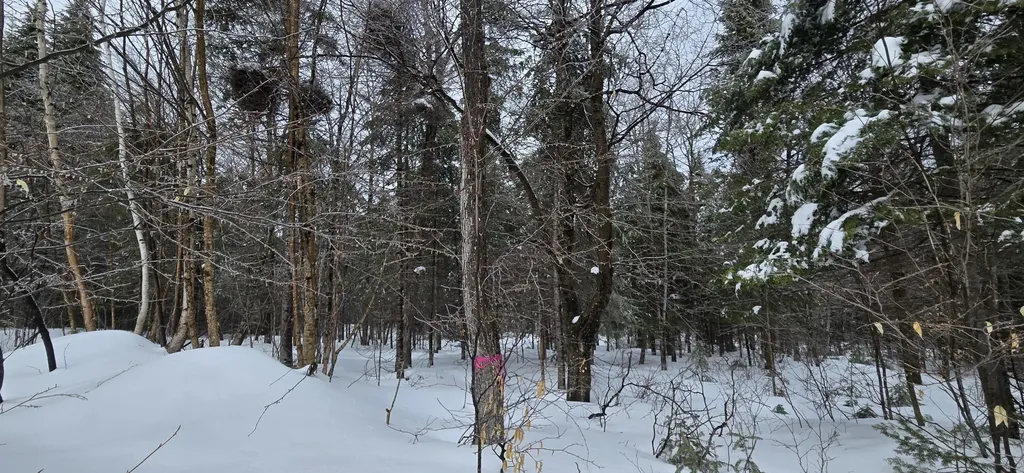 MAP31 Lot12 Madawaska ME 04756