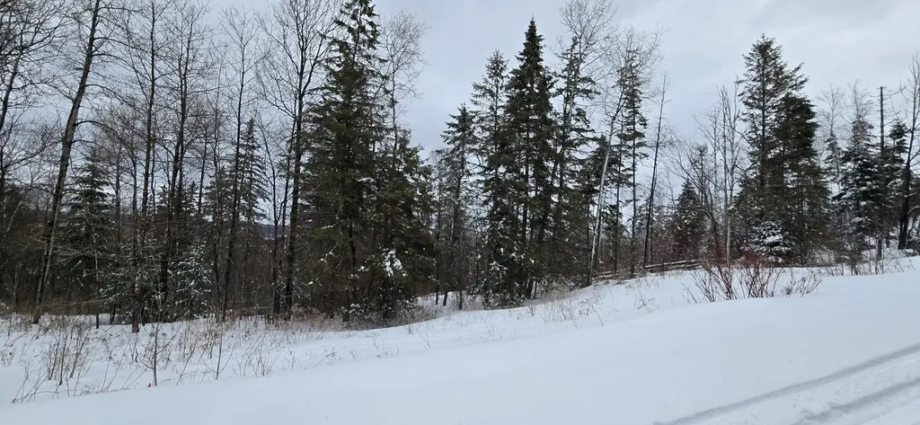 MAP31 Lot12 Madawaska ME 04756