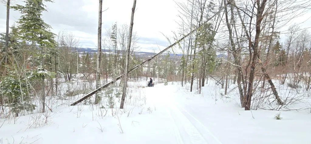 MAP31 Lot12 Madawaska ME 04756