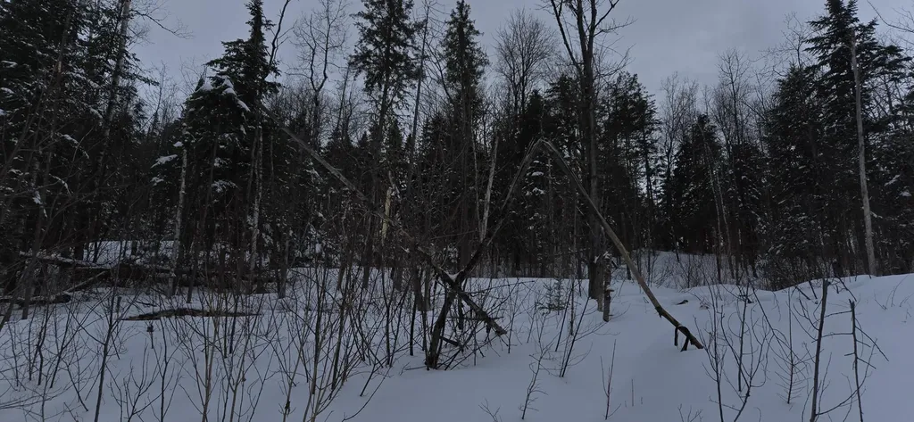 MAP31 Lot12 Madawaska ME 04756