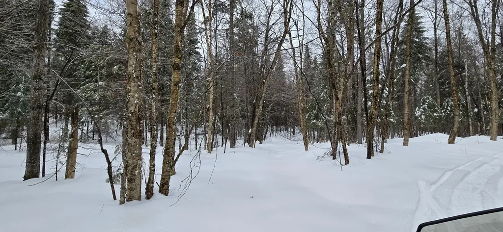 MAP31 Lot12 Madawaska ME 04756