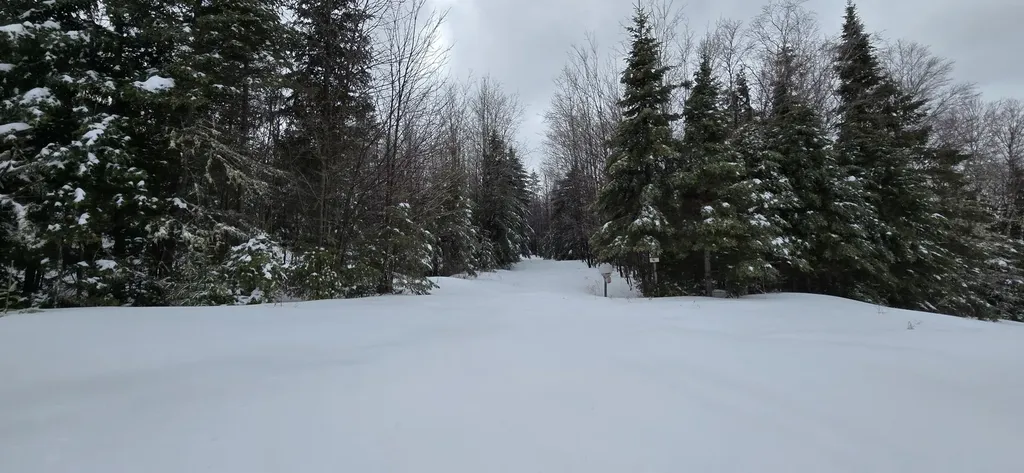 MAP31 Lot12 Madawaska ME 04756