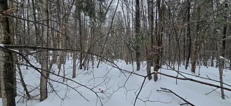 MAP31 Lot12 Madawaska ME 04756