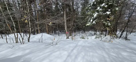 MAP31 Lot12 Madawaska ME 04756
