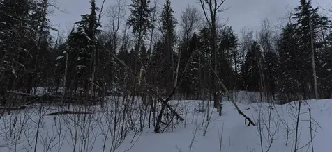 MAP31 Lot12 Madawaska ME 04756