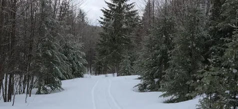 MAP31 Lot12 Madawaska ME 04756