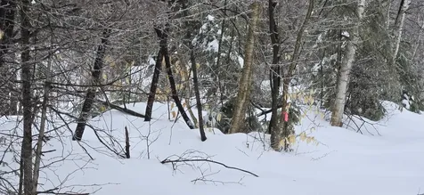 MAP31 Lot12 Madawaska ME 04756