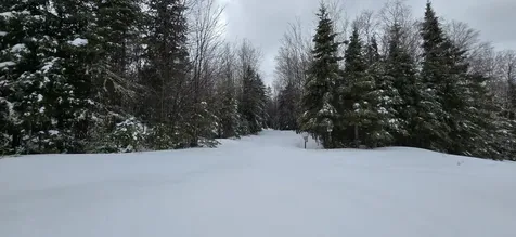 MAP31 Lot12 Madawaska ME 04756