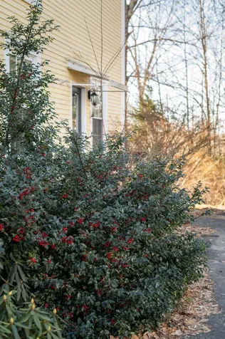 75 Main Road Charleston ME 04422