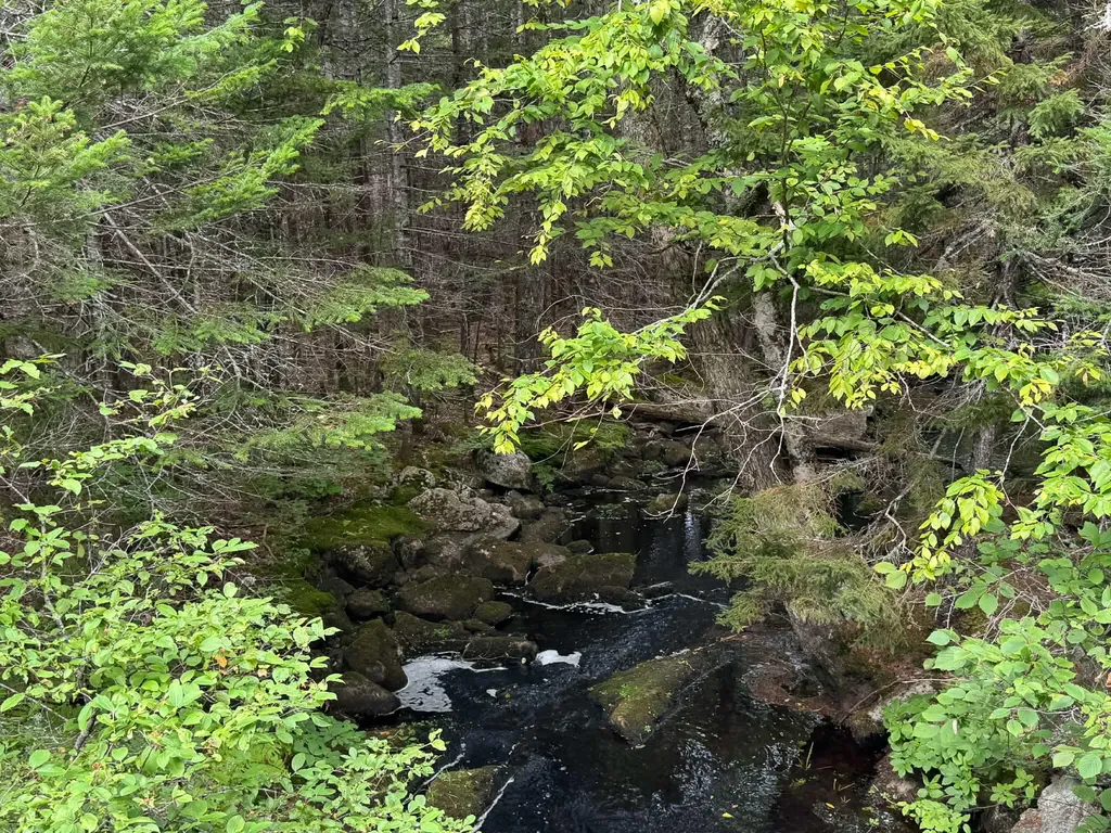 Lot 6 Black Cow Meadow Road Northfield ME 04654