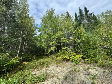 Lot 6 Black Cow Meadow Road Northfield ME 04654